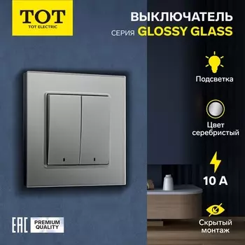 Выключатель TOT Glossy Glass, 10 А, 2 клавиши, с подсветкой, скрытый монтаж, стеклянная рамка, серебристый