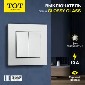 Выключатель TOT Glossy Glass, 10 А, 2 клавиши, скрытый монтаж, стеклянная рамка, серебристый
