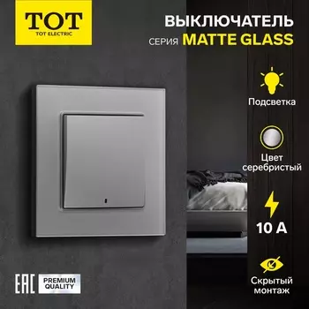 Выключатель TOT Matte Glass, 10 А, 1 клавиша, с подсветкой, скрытый монтаж, стеклянная рамка, серебристый