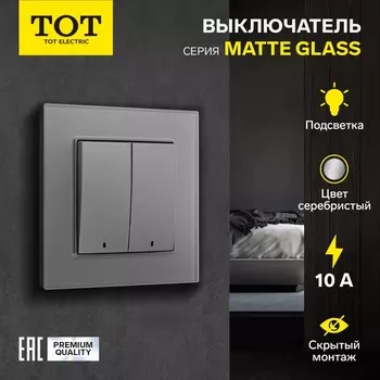 Выключатель TOT Matte Glass, 10 А, 2 клавиши, с подсветкой, скрытый монтаж, стеклянная рамка, серебристый