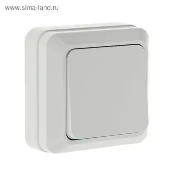 Выключатель UNIVersal "Олимп", 10 А, 1 клавиша, наружный, белый