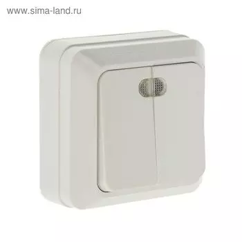 Выключатель UNIVersal "Олимп", 10 А, 2 клавиши, наружный, с подсветкой, белая