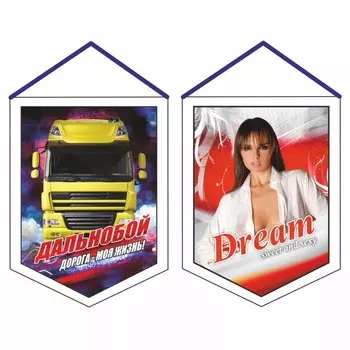 Вымпел "Девушка", вид №2, 100 х 140 мм, двусторонний