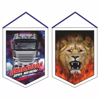 Вымпел "Лев", вид №6, 100 х 140 мм, двусторонний