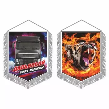 Вымпел "Тигр в огне", с бахромой, вид №1, 150 х 210 мм, двусторонний