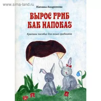 Вырос гриб как напоказ. Андронова Н.