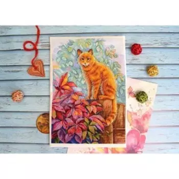 Вышивка «Деревенский житель»