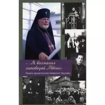 Я возжелал заповедей Твоих