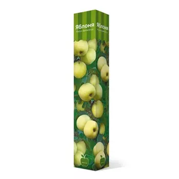 Яблоня "Июльское Черненко ", 1 шт, туба, Весна 2023