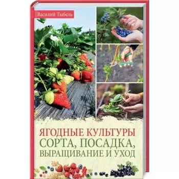Ягодные культуры. Сорта, посадка, выращивание и уход. Тыбель Василь
