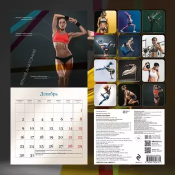 Яркая анатомия. Календарь настенный на 2024 год, 30х30 см