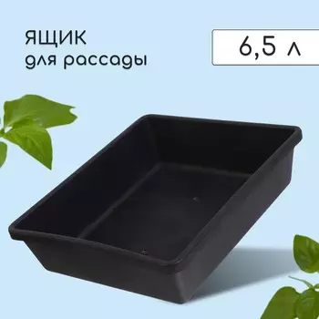 Ящик для рассады, 35 30 9 см, 6,5 л, пластик, чёрный