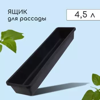 Ящик для рассады, 6014.59 см, 4.5 л, пластик, МИКС