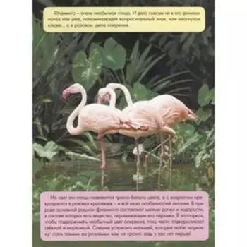 Зачем светлячку фонарик? Аверкиев В.