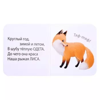 Загадки-рифмы