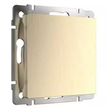 Заглушка WL10-70-11, цвет шампань рифленый