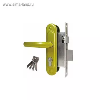 Замок врезной Димитровград «Омега» ЗВ.7.2 (ЗВ7.02), м/о 55 мм, с/руч, цвет золото