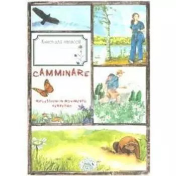 Записки пешехода