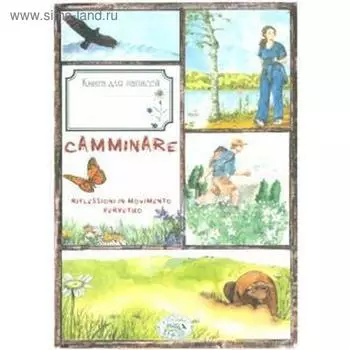 Записки пешехода