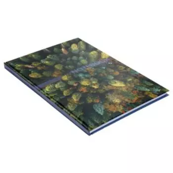 Записная книжка А4, 96 листов в клетку "Вид сверху" твёрдая обложка, глянцевая ламтнация, блок офсет