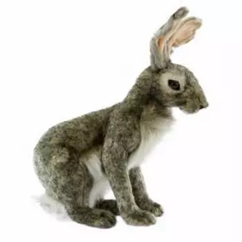 Заяц, 30 см