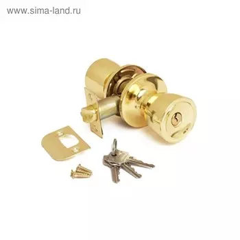 Защелка ручка Avers 0590-01-G, с ключом, с фиксатором, цвет золото