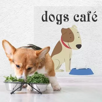 Защитная самоклеящаяся пленка на месте кормления/туалета питомца "Хороший мальчик" 40х50 см