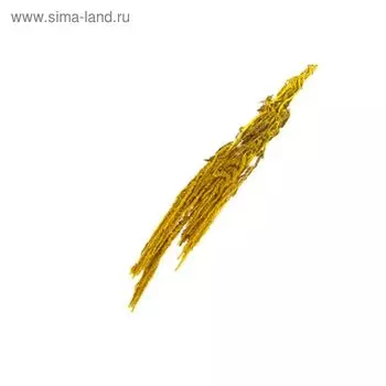 Засушенные цветы, амарант, жёлтый 200 г