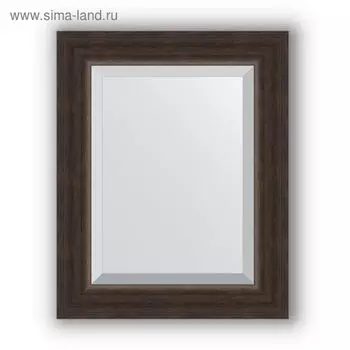 Зеркало с фацетом в багетной раме - палисандр 62 мм, 41 х 51 см, Evoform