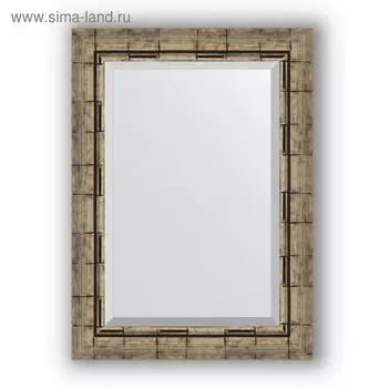 Зеркало с фацетом в багетной раме - серебряный бамбук 73 мм, 53 х 73 см, Evoform