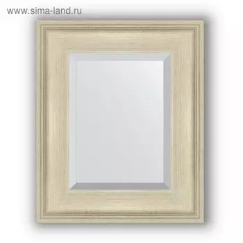 Зеркало с фацетом в багетной раме - травленое серебро 95 мм, 48 х 58 см, Evoform