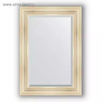 Зеркало с фацетом в багетной раме - травленое серебро 99 мм, 69 х 99 см, Evoform