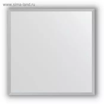 Зеркало в багетной раме - хром 18 мм, 56 х 56 см, Evoform