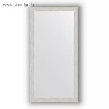 Зеркало в багетной раме - серебряный дождь 46 мм, 51 х 101 см, Evoform