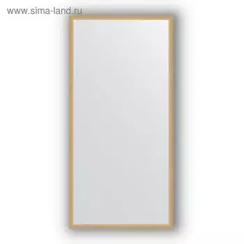 Зеркало в багетной раме - сосна 22 мм, 48 х 98 см, Evoform