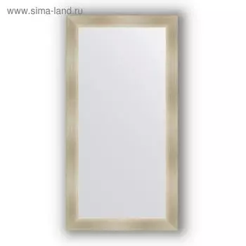 Зеркало в багетной раме - травленое серебро 59 мм, 54 х 104 см, Evoform