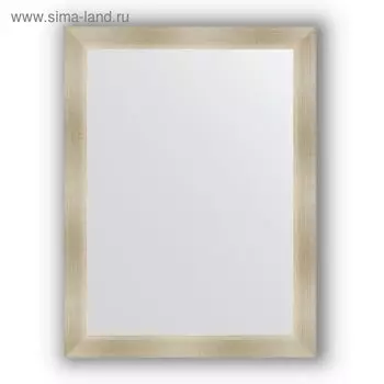 Зеркало в багетной раме - травленое серебро 59 мм, 64 х 84 см, Evoform