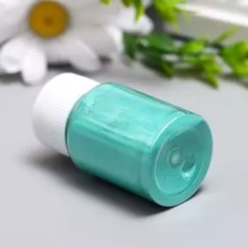 Жемчужный пигмент для творчества "Зеленовато-голубой" 10 гр HT84629 5,8х3,2х3,2 см