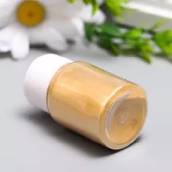 Жемчужный пигмент для творчества "Золото" 10 гр HT310 5,8х3,2х3,2 см