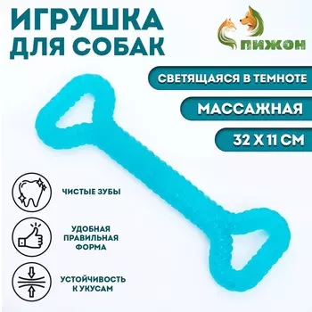 Жевательная игрушка для собак «Большая кость», светящаяся, массажная, 3211, синяя