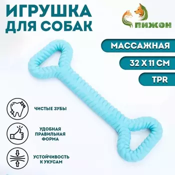 Жевательная игрушка для собак ПИЖОН «Большая кость», 3211, голубая