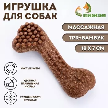 Жевательная игрушка для собак ПИЖОН "Колючая кость", массажная, 18 х 7