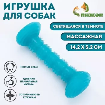 Жевательная игрушка для собак «Палка», светящаяся, массажная, 14.25.2 см, голубая