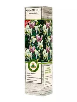 Жимолость каприфоль, туба, 1 шт, Весна 2025