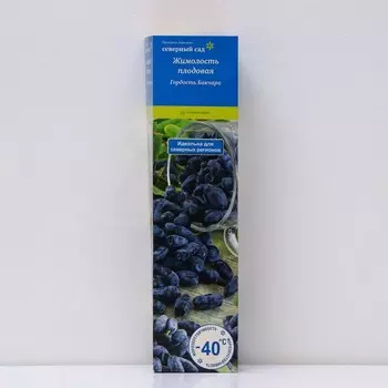 Жимолость съедобная (Серия Северный Сад) "Гордость Бакчара", 1 шт, туба, Весна 2025