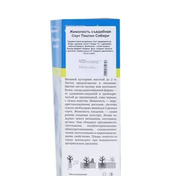 Жимолость плодовая «Пётр 1», саженец, туба, 1 шт.