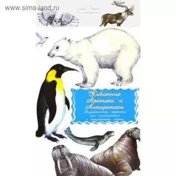 Животные Арктики Антарктики