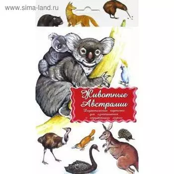 Животные Австралии