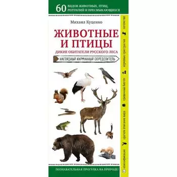 Животные и птицы. Дикие обитатели русского леса. Куценко М. Е.