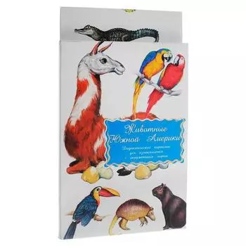 Животные Южной Америки